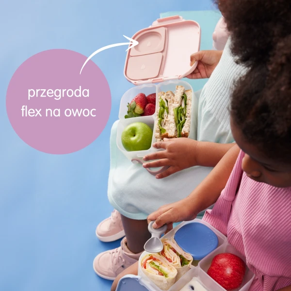 B.Box Zestaw Sportowa butelka tritanowa 450 ml + Mini Lunchbox, Strawberry Shake