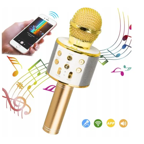 Mikrofon bezprzewodowy dla dzieci głośnik bluetooth, 1 sztuka GOLD