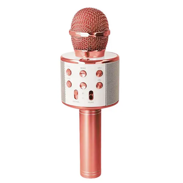 Mikrofon bezprzewodowy dla dzieci głośnik bluetooth, 1 sztuka